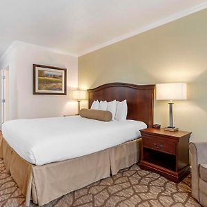 Habitación con Cama King Adaptada para Discapacitados